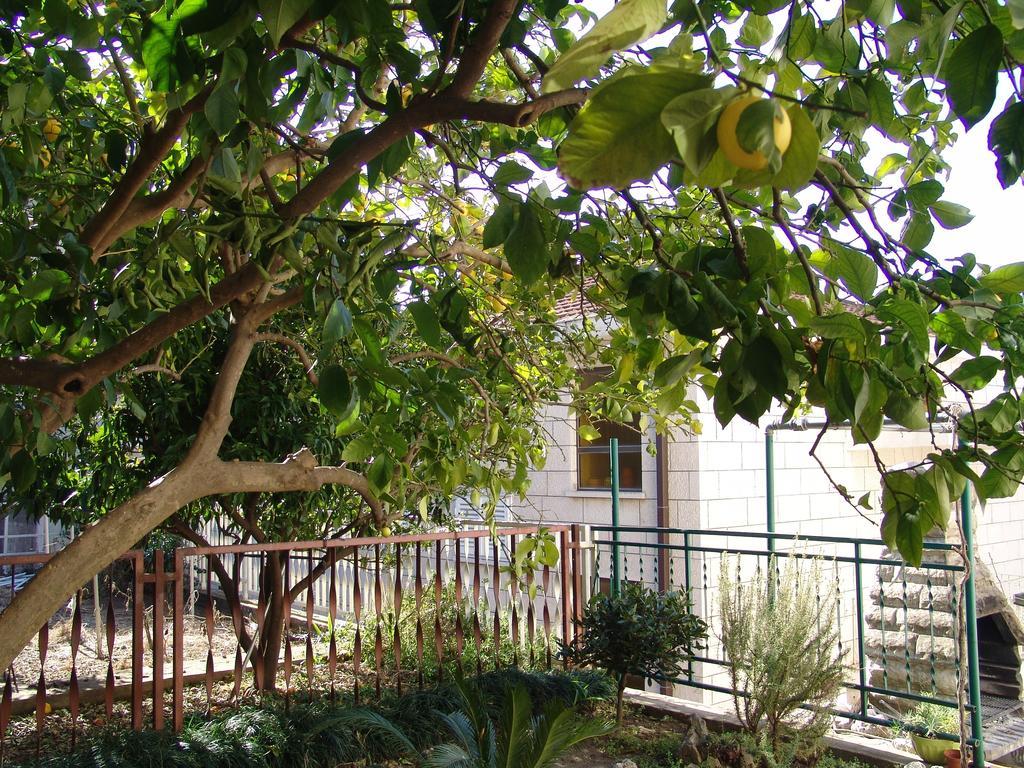Apartment Davor Gradac  Oda fotoğraf